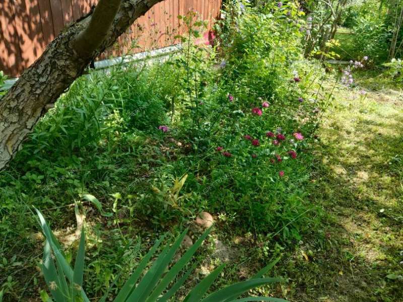 дом на Знатная СНТ "Звезда-2"